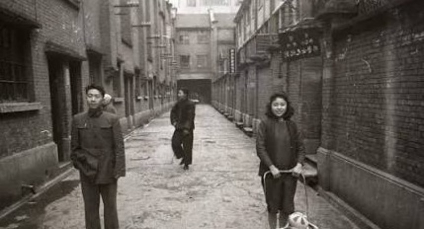 行业洞察 - 麻豆传媒官网 - 行业数据背后趋势解读专区